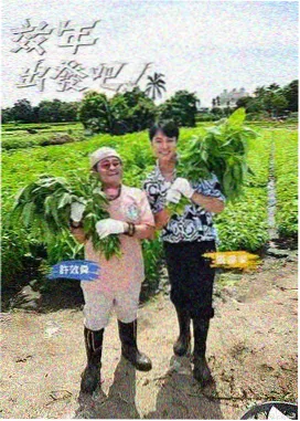 手艺人纪事 欧美纪实综艺海报